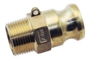 Vale® Brass Type F Plug BSPT