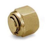 Ham-Let Let-Lok® Brass Imperial Plug